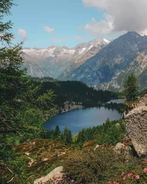 До улучшения - исходный пейзаж